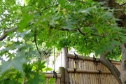 DSCF5052_R