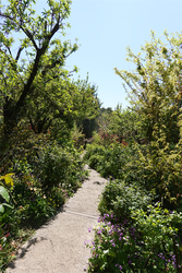 DSC06628_R