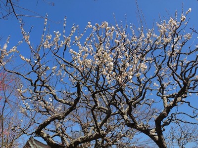 DSCF1054_R