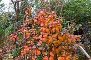 DSCF8158_R