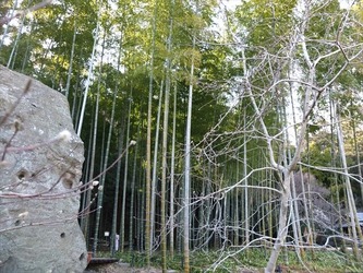 DSCF8447_R