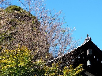 DSCF6306_R