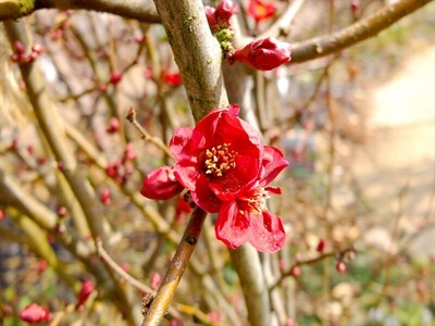 DSCF0958_R