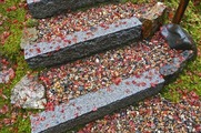 DSCF7391_R