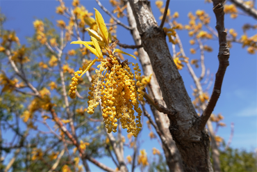 DSC06213_R