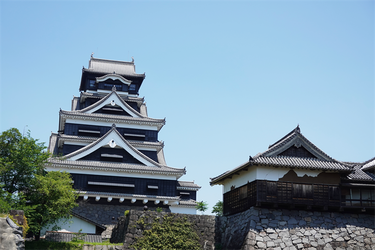 DSC07886_R