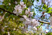 DSCF2039_R