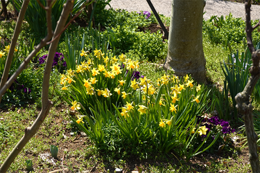 DSC05905_R