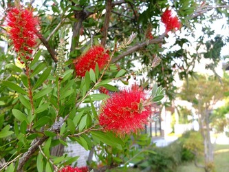 DSCF9769_R