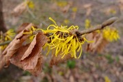DSCF9462_R