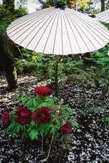 36f904e5.jpg