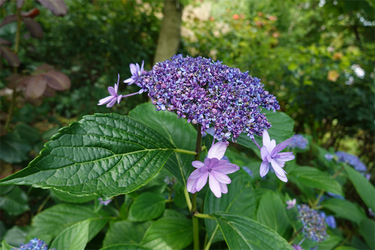 DSC08464_R