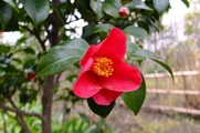 DSCF1208_R