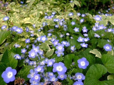 DSCF2558_R