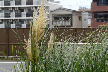 DSC07436_R