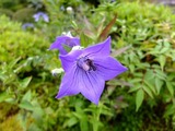 DSCF2614_R