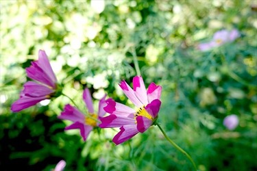 DSC02683_R