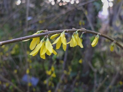 DSCF4734_R