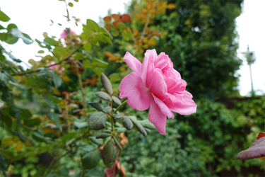 DSC09328_R
