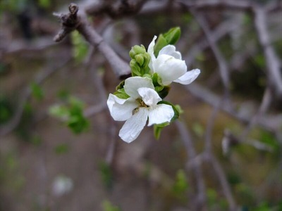 DSCF1245_R
