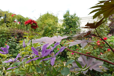 DSC07550_R