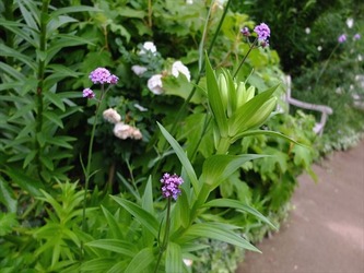 DSCF9953_R