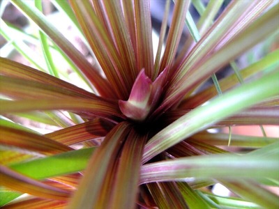DSCF4883_R