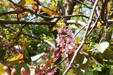 DSC06659_R