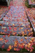 DSCF7493_R