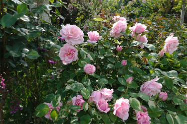 DSC07041_R