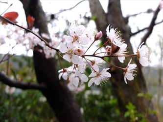 DSCF8630_R