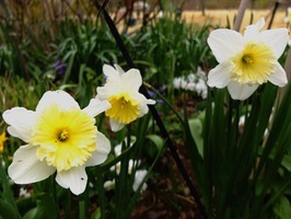 DSCF7494_R