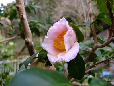 DSCF1190_R