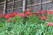 DSCF5463_R