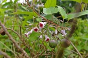 DSCF4630_R