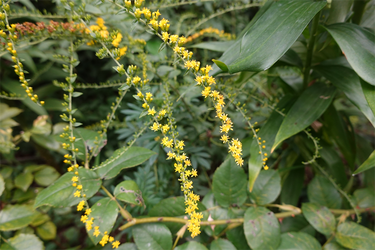 DSC09285_R
