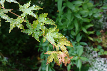 DSC08556_R