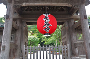DSCF3681_R
