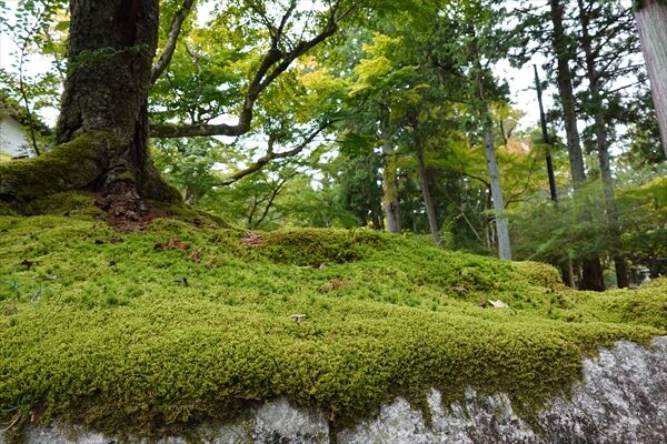 DSC02060_R