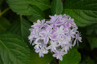 DSC08415_R