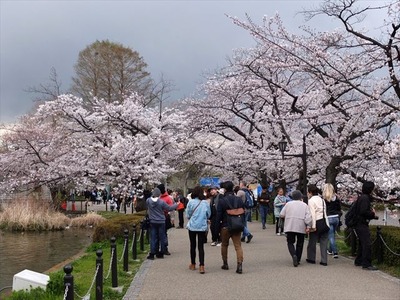 DSCF8124_R