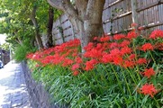 DSCF5479_R