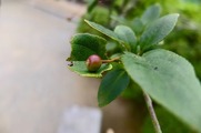DSCF5080_R