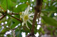 DSCF2313_R
