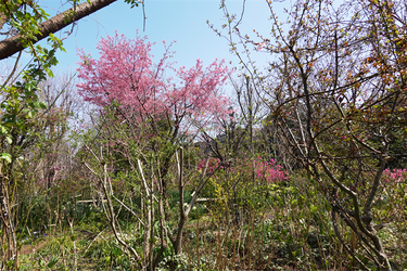 DSC06194_R