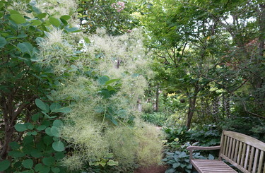 DSC08174