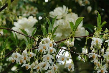 DSC07464_R