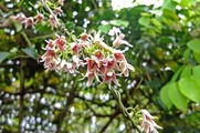 DSCF2581_R