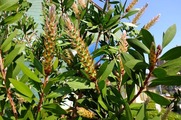 DSCF2978_R