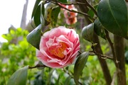 DSCF0854_R